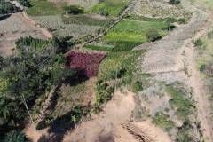 created by dji camera