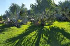 PANO_20200326_161427-Copia